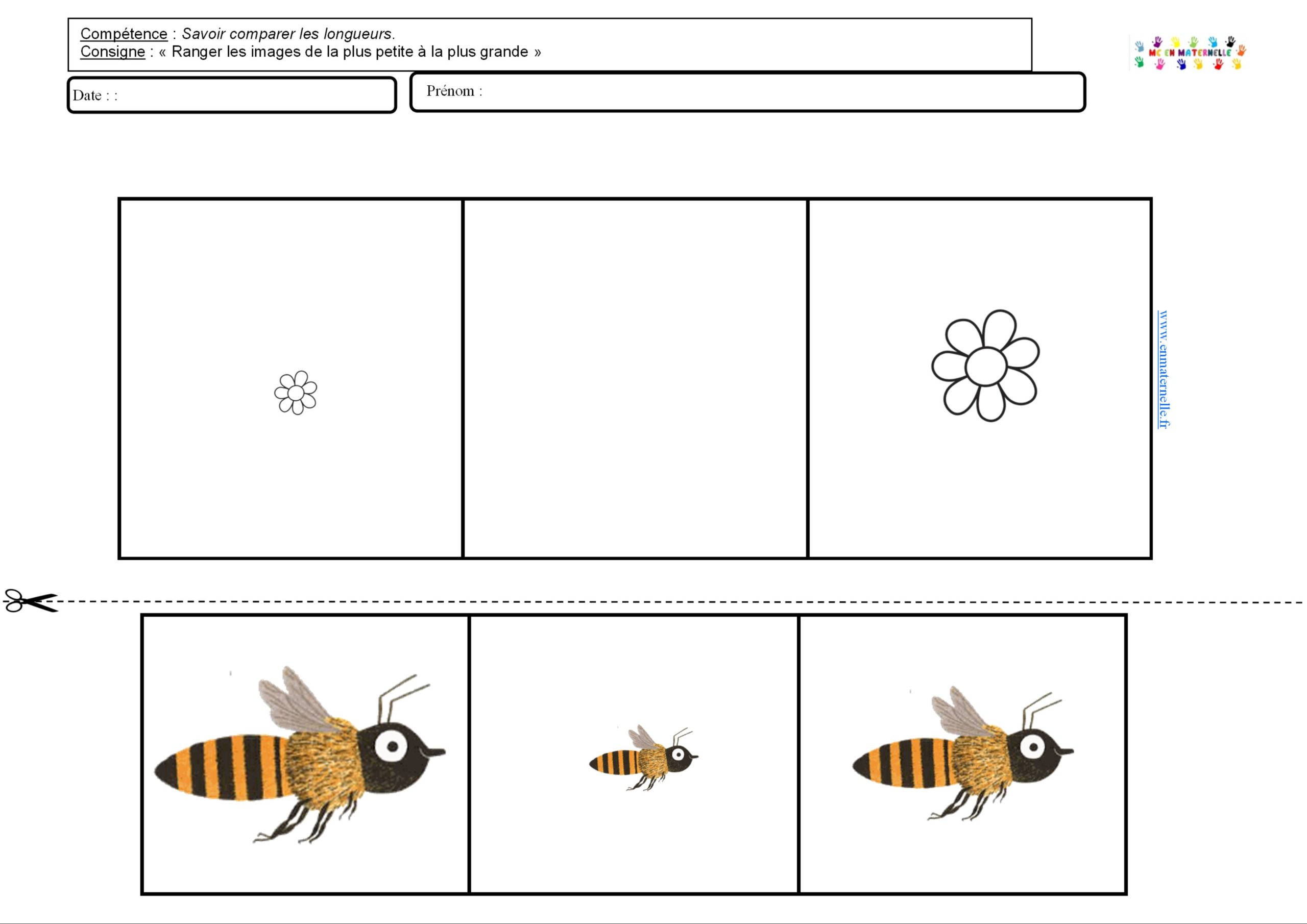 Les Abeilles Tri Par Taille Mc En Maternelle