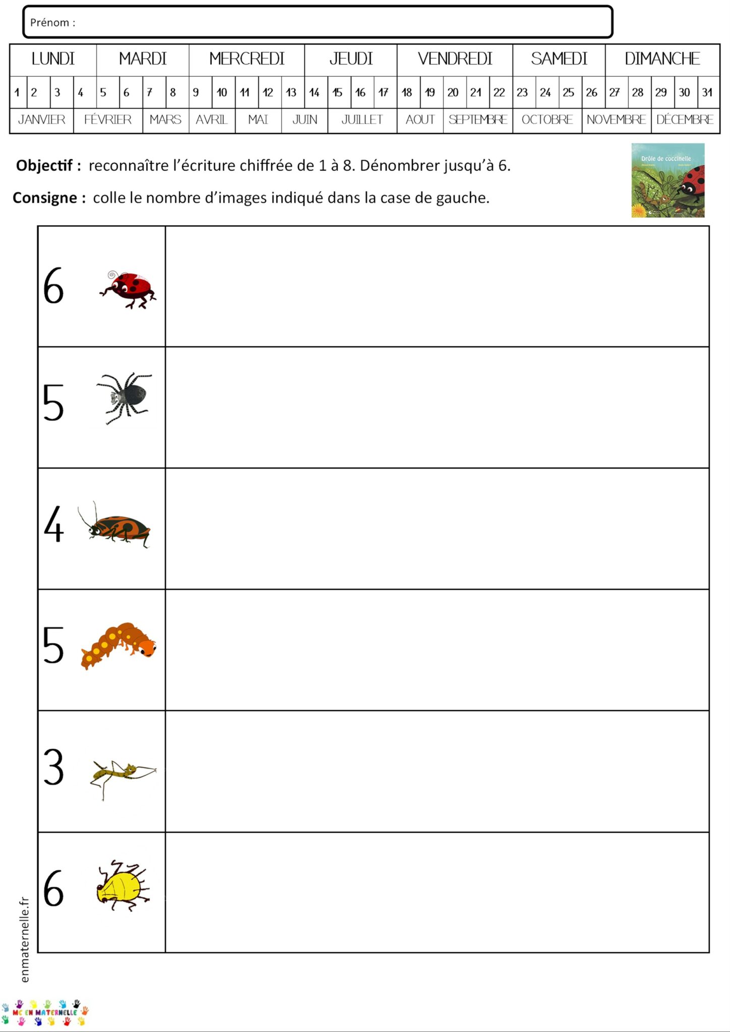 Drôle de coccinelle dénombrement 6 8 et 10 MC en maternelle