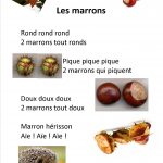 les marrons