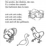 Le rock and roll des gallinacées