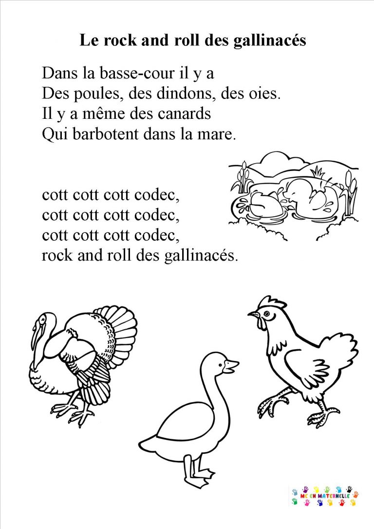 Le rock and roll des gallinacées