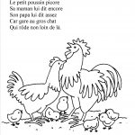 Le petit poussin picore