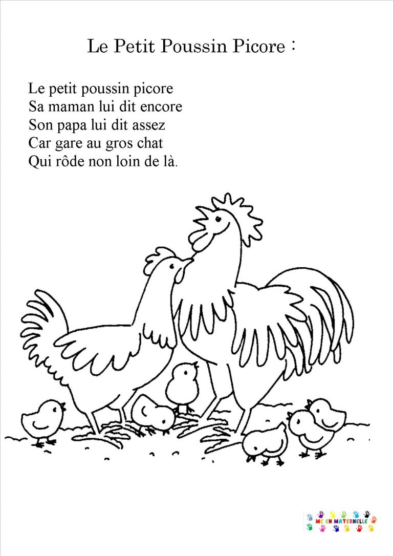 Le petit poussin picore