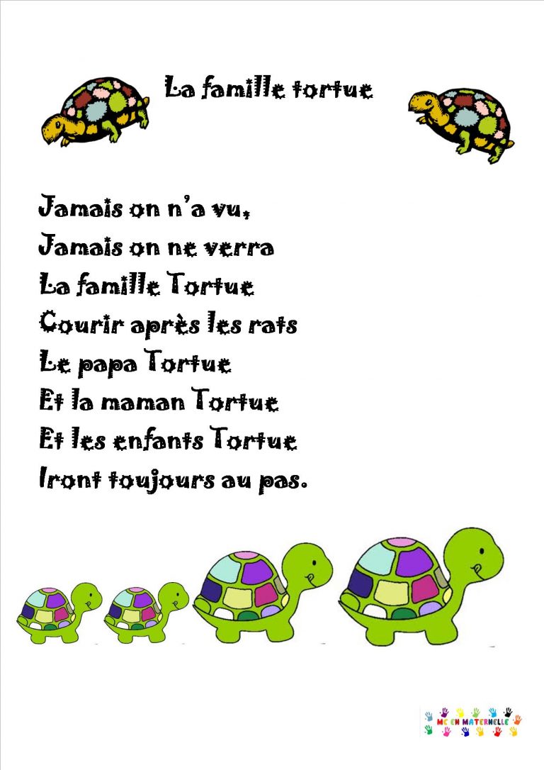 La famille tortue