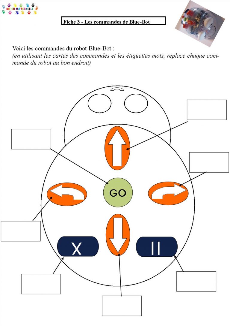 Séquence 1 – Découverte des robots Blue-Bots