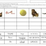dix petites graines : associer des mots du lexique avec leurs écritures