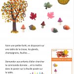 Cherche dans la forêt d’automne