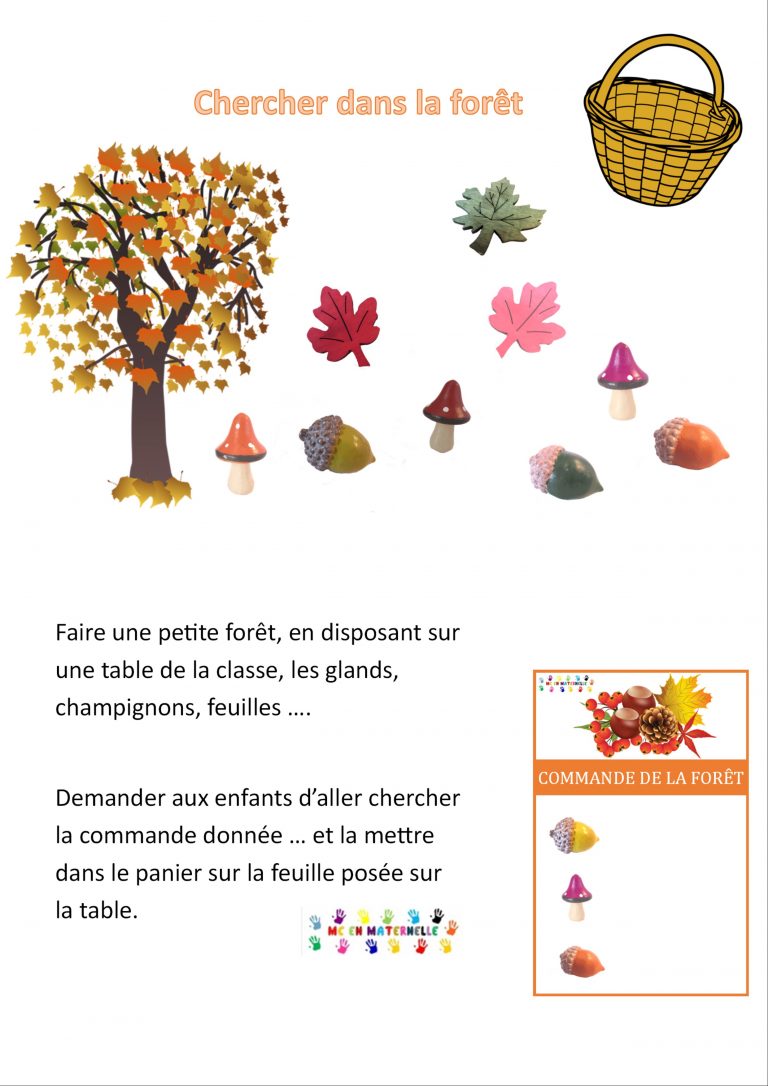 Cherche dans la forêt d’automne