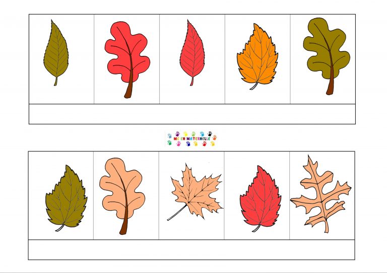 Tri des feuilles d’automne selon la forme et la couleur