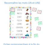 Reconnaître les mots LE/LA et UN/UNE