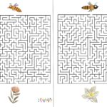 Les abeilles : labyrinthes