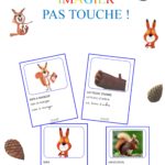 Pas touche ! : imagier