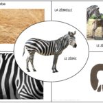 Afrique : les animaux de la savane