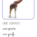 les animaux de la Savane : imagier