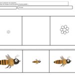 Les abeilles : tri par taille