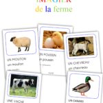 Imagier : les animaux de la ferme