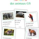 Imagiers pour petits, moyens et grands sur les animaux