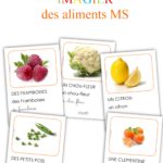 Imagiers pour petits, moyens et grands sur les aliments