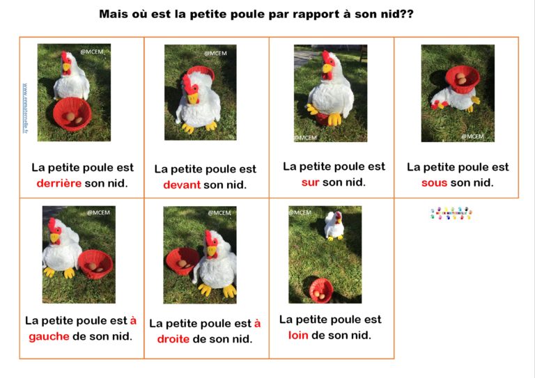 la petite poule : positionnement spatial