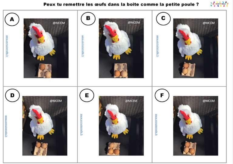 La petite poule : placement des oeufs dans l’espace d’une boite