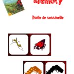 Drôle de coccinelle : mémory