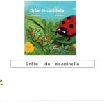 Drôle de coccinelle : ateliers sur le titre de l’album