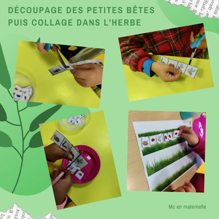 drôle de coccinelle : découpage et collage des petites bêtes